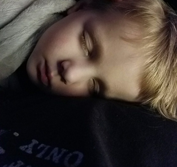 Meet your Posher, Amber - Picture 3 of 6